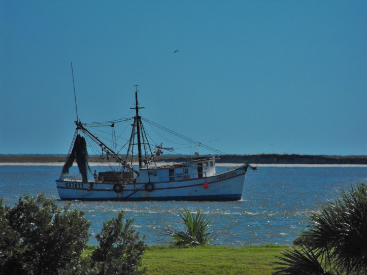 DSCF0238