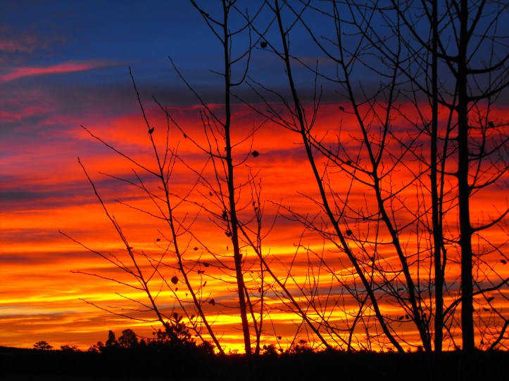 DSCF0535