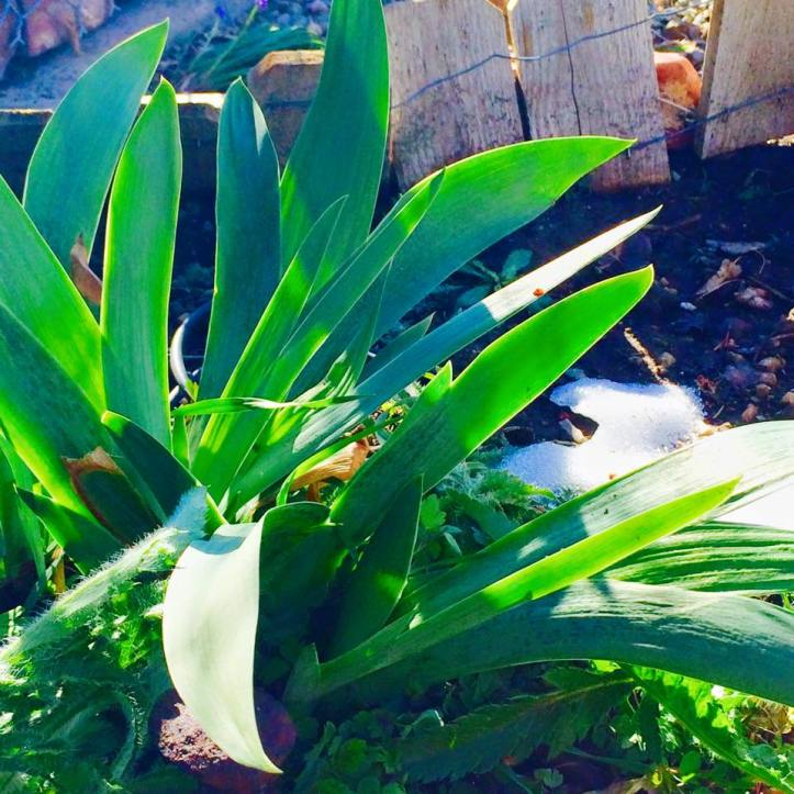 weight of glory revealed